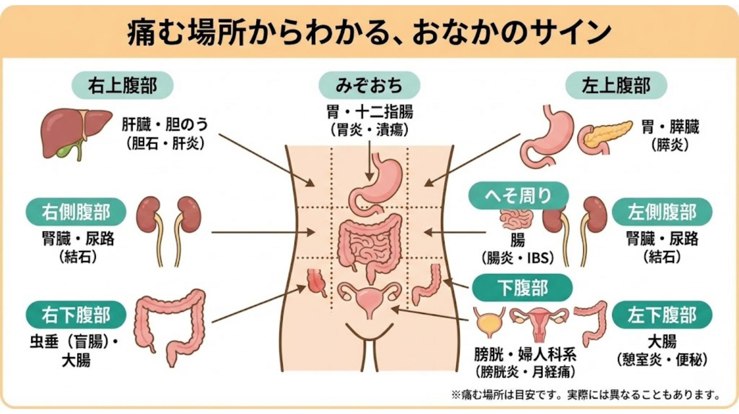 腹痛｜北柏駅前 おなかのクリニック紬